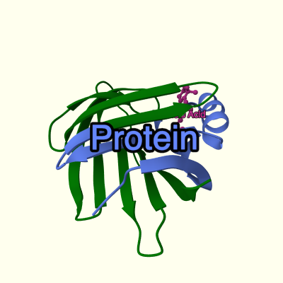 Example MolViewSpec - 1cbs with labelled protein and ligand